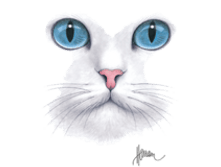 �������� 2620, 480 ������ ��� ���.�����