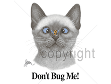 �������� 2620, 480 ������ ��� ���(������ ��������)