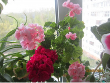 �������� ������� � ��������� ����������