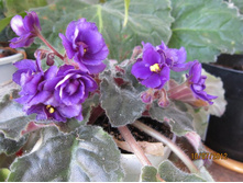 �������� ������