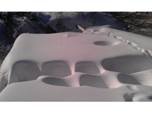 ���� ����� �������