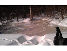 ��� �������