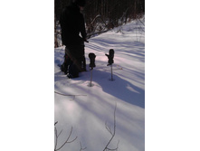 ����� ����� �����