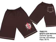 ��������� \"������� ����\"							  