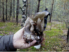 \"������ ������\"