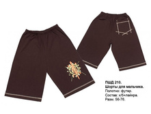 ��������� \"����������� � ��������\"							  