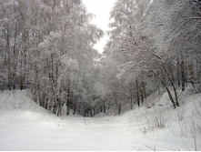 ���������!