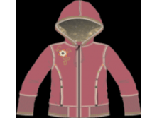 21.01.2010 19:07:09