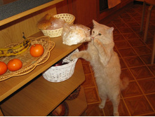 ���� ����� �� �����