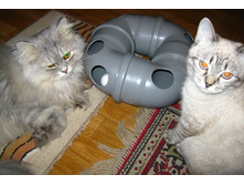 ������ �����