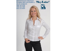 NO-816_��� 40-52_ 980 ���