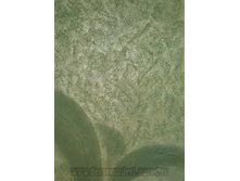 ������� /��������� ���������: \"����������\"/