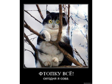 Copy of 2465ybssggwy.jpg