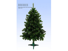 ��� "�����"