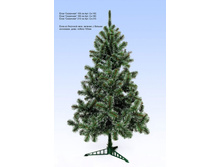 ��� "���������"