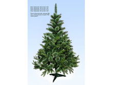 ��� "���������"