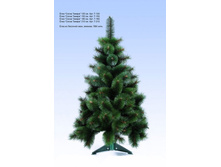 ��� "����� "������"