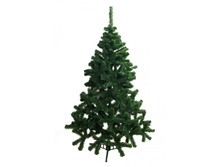 ��� "�����"