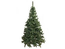 ��� "��������"