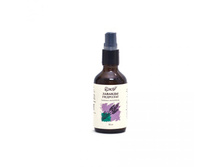 �����*��� �����*��