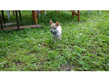 ��������� �������