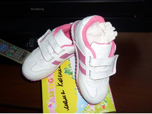 ��������� �������� �. 26 �����