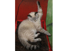 ���-�����-����� ��� �����!!!!!