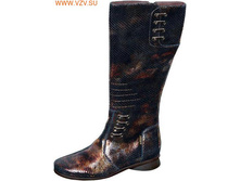  �������: 1007/3