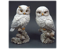 ����: 97 ��� 