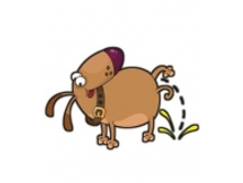 ������: 19-29 ��  ����: 75 ���