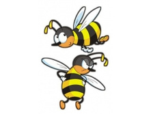 ������: 19-29 ��  ����: 75 ���