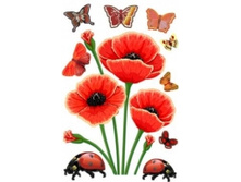 ������ 35-54