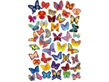 ������ : 35-54