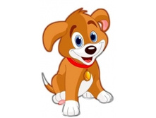 ������: 19-20 ����: 75 ���.