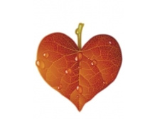 ������: 13-17 ����: 38 ���