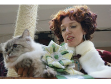 0_934ca_4b1ab62d_orig.jpg