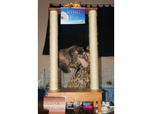 0_b4a5d_88ffa984_orig.jpg