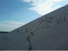 2012-07-11 18.14.09.jpg