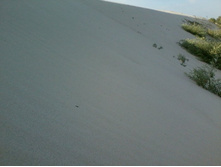 2012-07-11 18.17.10.jpg