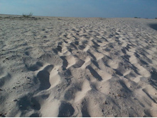 2012-07-11 18.18.03.jpg