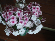 DSC00031.JPG