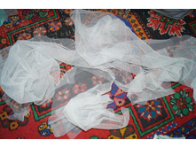 ������� �����.���������