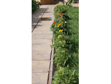 ������ �� ���������.jpg