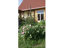 ������� ����� � ��������.jpg