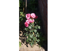 ��������� �������  1 ���.jpg