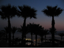 ���� (��� �� ������)