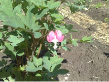 �������� ������