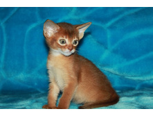 ����������� 641.jpg