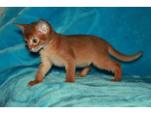 ����������� 657.jpg