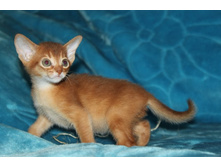 ����������� 710.jpg